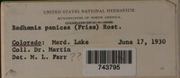 Image Associated With the Occurence